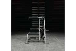 Hammer Strength Assisted Nordic Ham