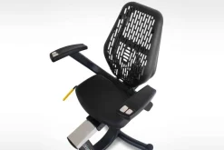 LifeSpan R5i Recumbent Exercise Bike