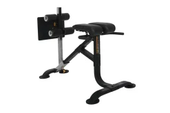 Powertec Dual Hyperextension/Crunch (๐IN-STORE SPECIAL - Extra 10%)