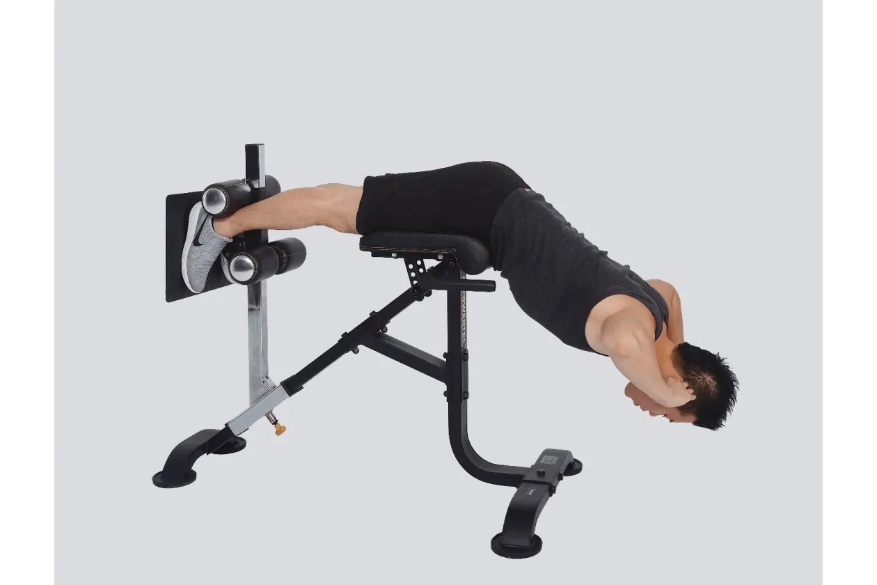 Powertec Dual Hyperextension/Crunch (๐IN-STORE SPECIAL - Extra 10%)