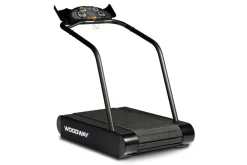 Woodway Path Treadmill